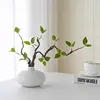 Small oval ceramic vase with withered branches and green leaves