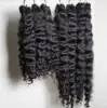 bouclé birman