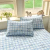 Blue Plaid Puppy
