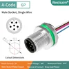 M12-A-6P male PG9