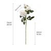 สีขาว