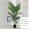 Palm Tree - 160cm