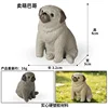 colorido 3833 Adorable Pug
