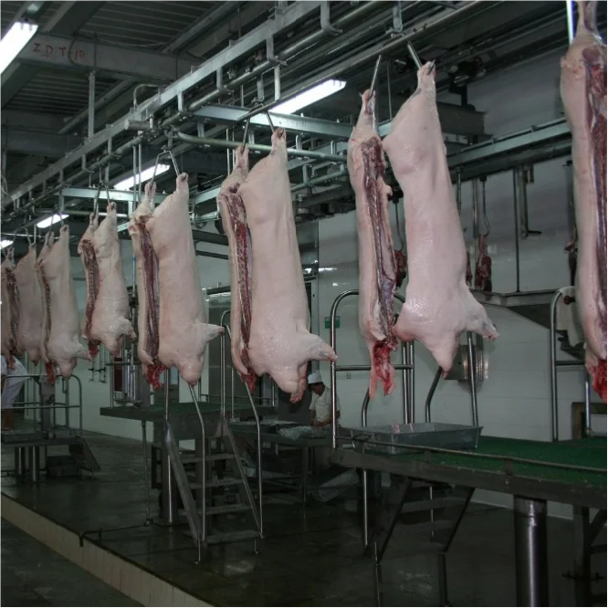 Automatic complete pork slaughtering line equipment for modern pork processing plant