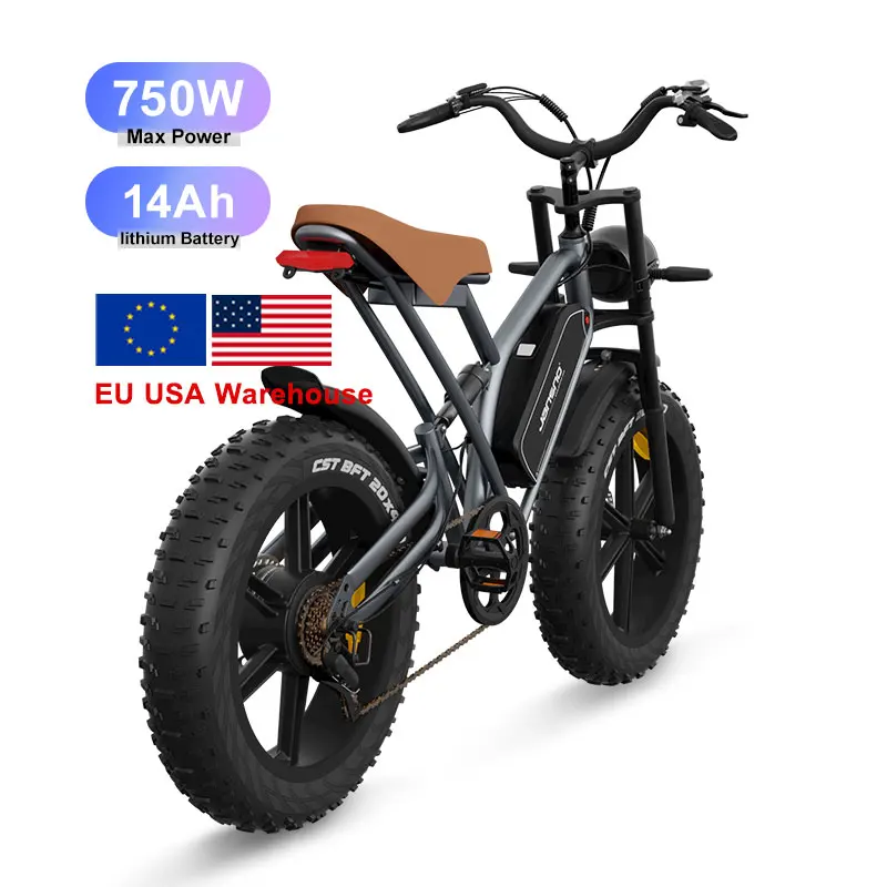 Vélo Électrique Jansno X50 – 20 X 4.0 – 750W – Assistance Pédalier – Gris – Neuf