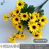Pequeño manojo de semillas de girasol de 22 cabezas (XZG) enviadas por separado