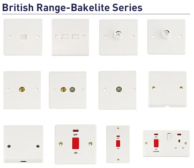 Wenzhou Manufacturer Kitchen 45A Rice Cooker Switch Socket With 13A Sockets and Switches