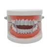 Denti inferiori d'argento