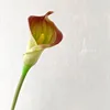 SKU9