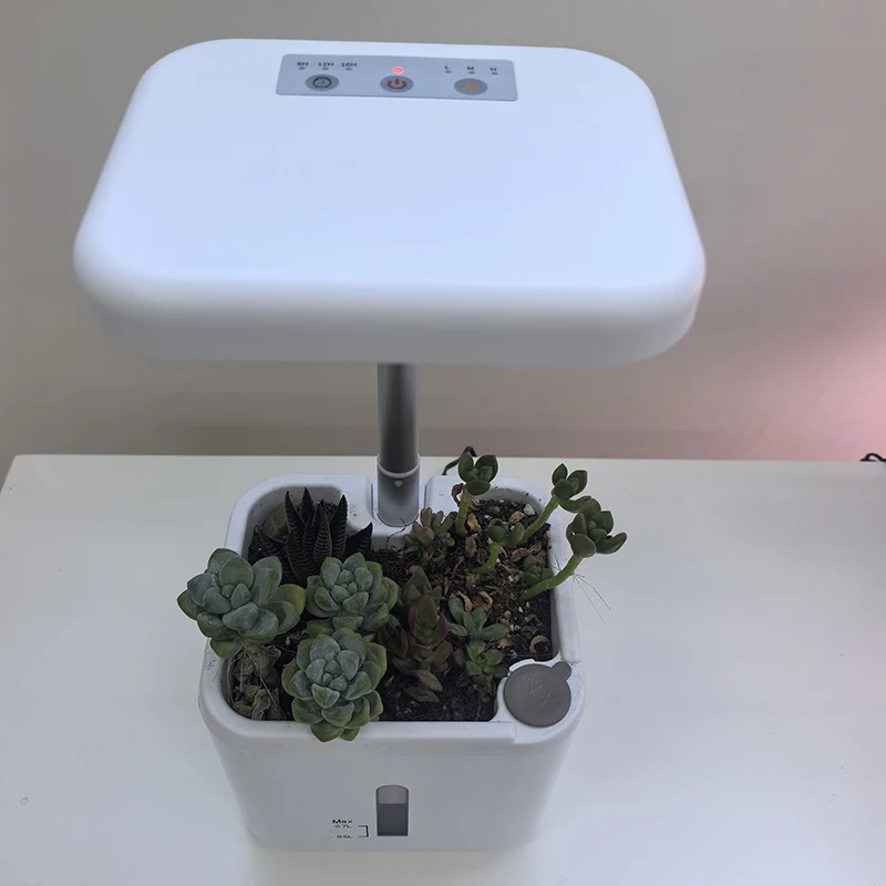 H93c2e766410443e1befa23f3a8547e92C