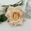 แชมเปญ