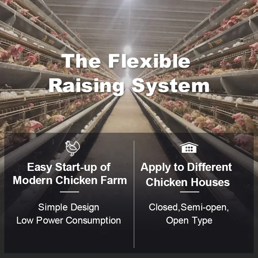 A Type Automatic Battery Poultry Cage System for Egg Layer Chickens