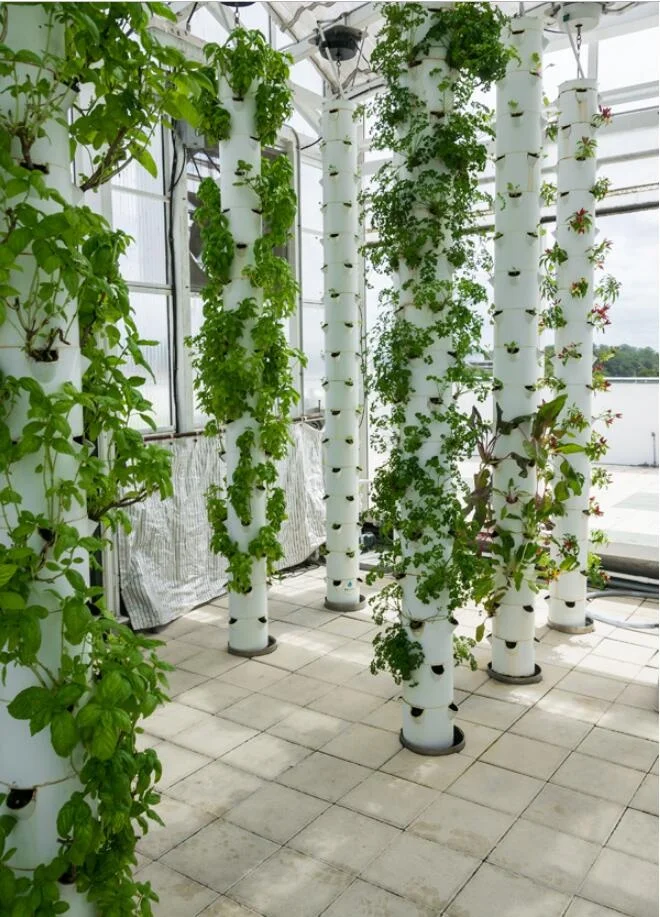 High Quality Eco-friendly Hydroponic Indoor Motorized Rotating Aeroponic Tower Grow Systems with Pump Container Greenhouse Farm