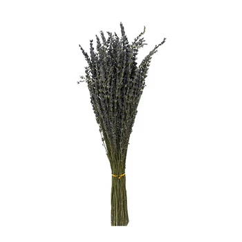 China High Quality Decoration Home Table Centerpiece Grass Dried Natural Flower Arranging for Wedding Party Lavender 100g bundle