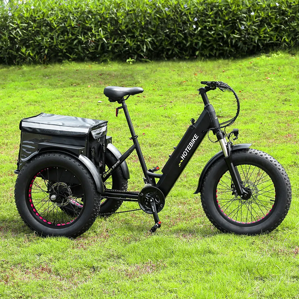 Electric Tricycle Cargo Bike 606 Aluminum Frame Electric Cargo Bike 7