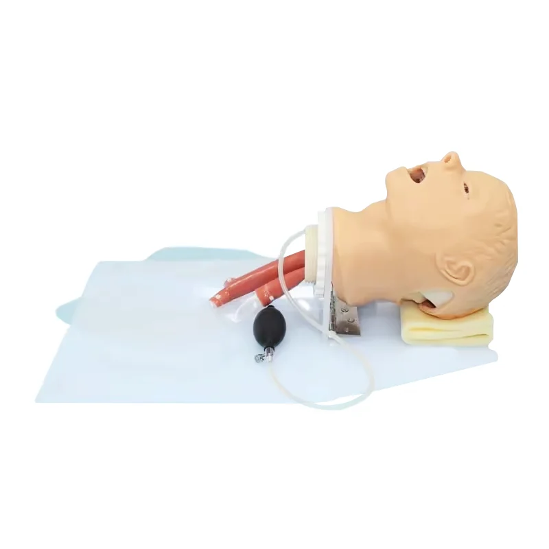 ADA-J50 Trachea Intubation Training Model With Alarm Device Airway School Teaching Manikin Neonate Infant Trachea Mode