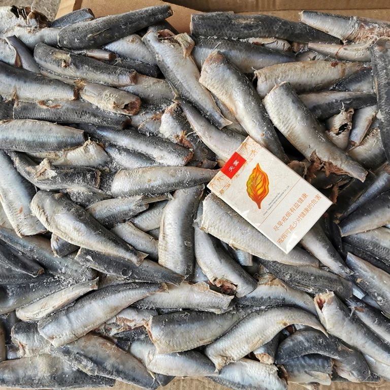 1トンあたりの缶詰価格のための高品質の冷凍サルディネラロングセプス原料イワシ丸イワシhgt Buy イワシhgt 原料の缶詰イワシ Sardinella Longiceps Hgt缶詰 Product On Alibaba Com