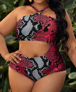 Wholesale Custom Snake Print Big Breast Bikini  for Women