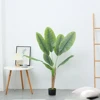 Plantain Tree 120cm
