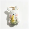 Noodle Rabbit
