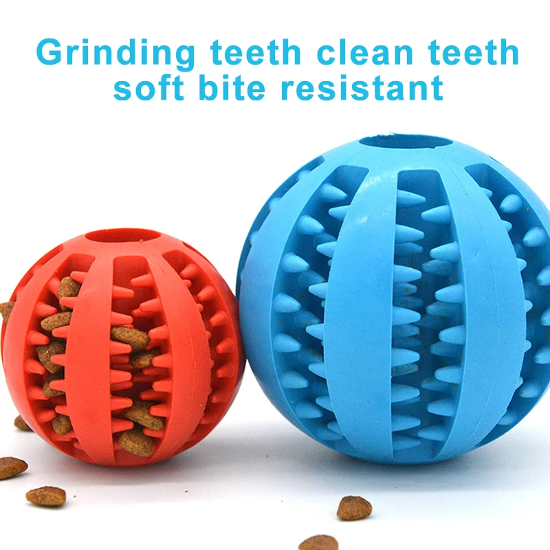 Chew Toy for Dogs