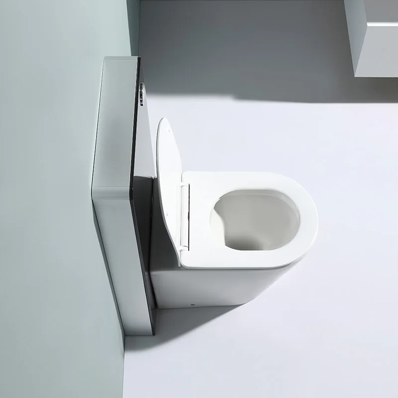 High-performance ceramic wall-mounted lavatory