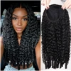 Burmese Curly