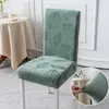 Oferta especial para los primeros puestos - Hojas de pino verde