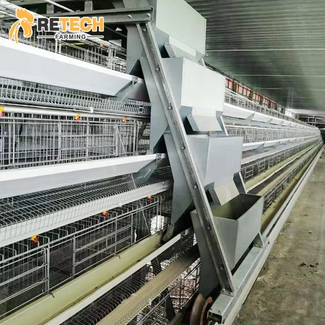 Poultry Farm Simple Design Manual Layer Cage for 10000 Chickens House