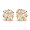 E585 gold