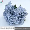 Five-headed Mini Hydrangea WZT Misty Blue