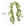 blanc vert