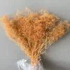 Arancione1
