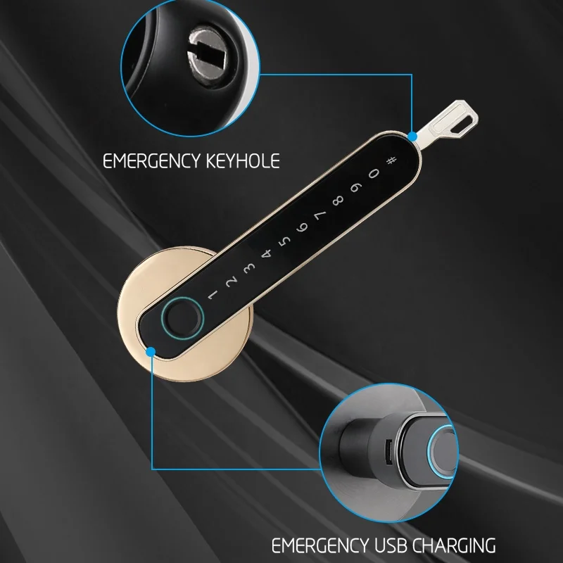 Rechargeable Fingerprint Code Password Unlock Intelligent Mortise Latch Door Locks Steel Door Cloud Data Storage for House Use