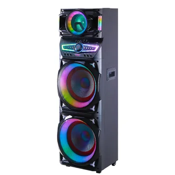 TS15A9 Double 15 inch speaker 100w Big TWS Good Quality New Arrival Speaker With Double Wireless Microphone Adapter