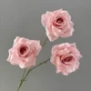 สีชมพูพีช