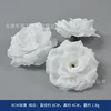 8cm rose, pure white