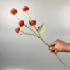 Caramelo