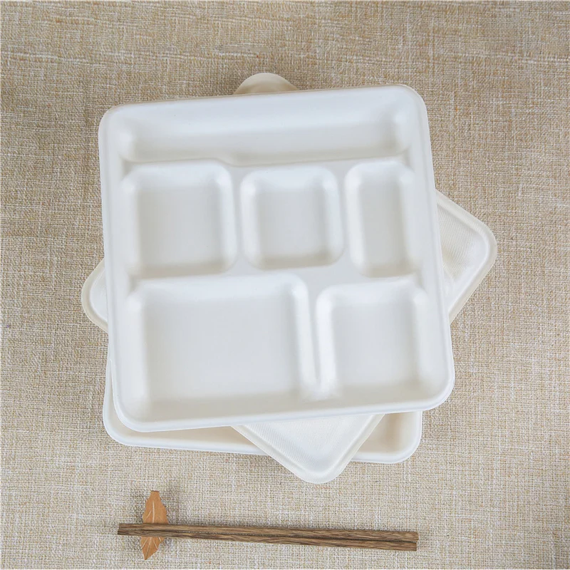 2-Compartment Disposable Food Container with 5-Compartment Lids for Bento School Lunch Box