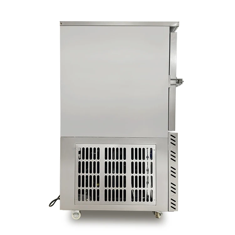 Blast Freezer, 220V, 2.3 - detail 4