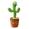 Cactus originale inglese - {batteria}