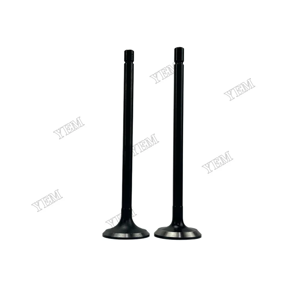 Intake and Exhaust Valve Fit for Nissan FE6T Engine 3