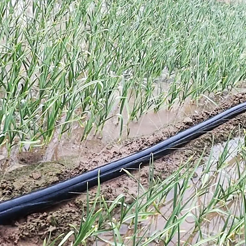 Diameter 28 mm 12 Mil Yby Irrigation Micro Spray Rain Tape Full Solution with Free Design Free Samples Spray Rain Hose Pipe