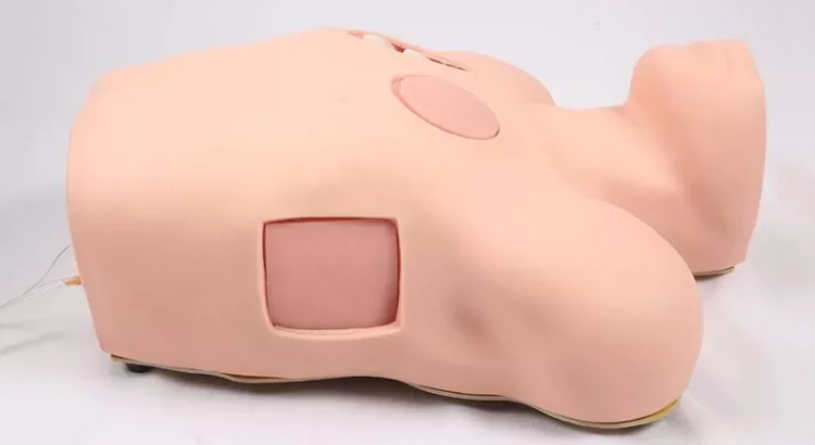 Human Pathological Anatomy Model Thoracic Pleural Drainage for Medical Science Teaching for Nurse Training and School Use