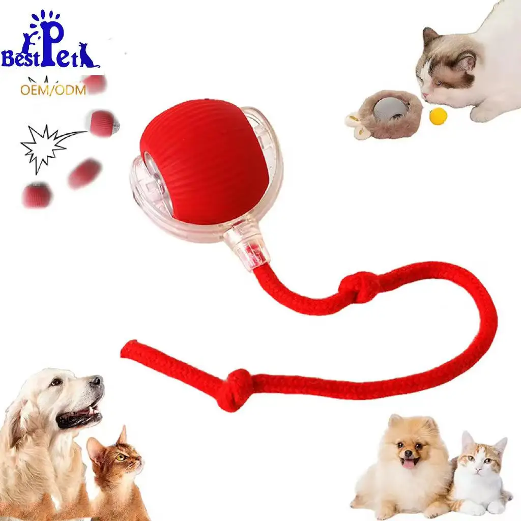 Quick Delivery USB Charging Interactive Pet Toys 360 Automatic Smart Dog Ball Toy Cat Rolling Ball Cat Toy Interactive Movement