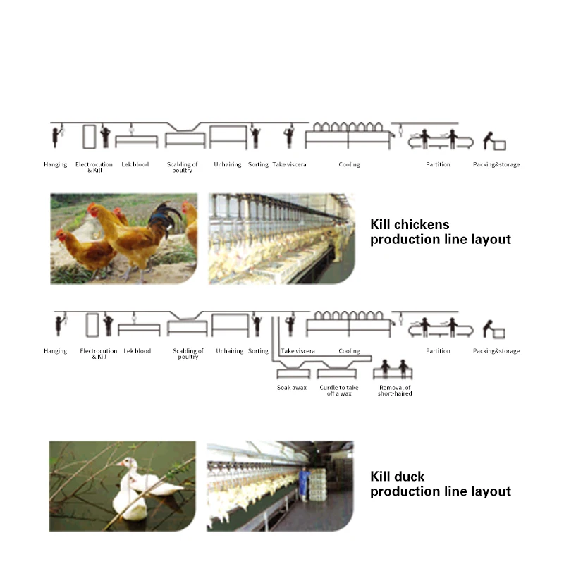 TCA High Quality Automatic Quail Poultry Chicken Slaughtering and Cutting Machine Line Equipment