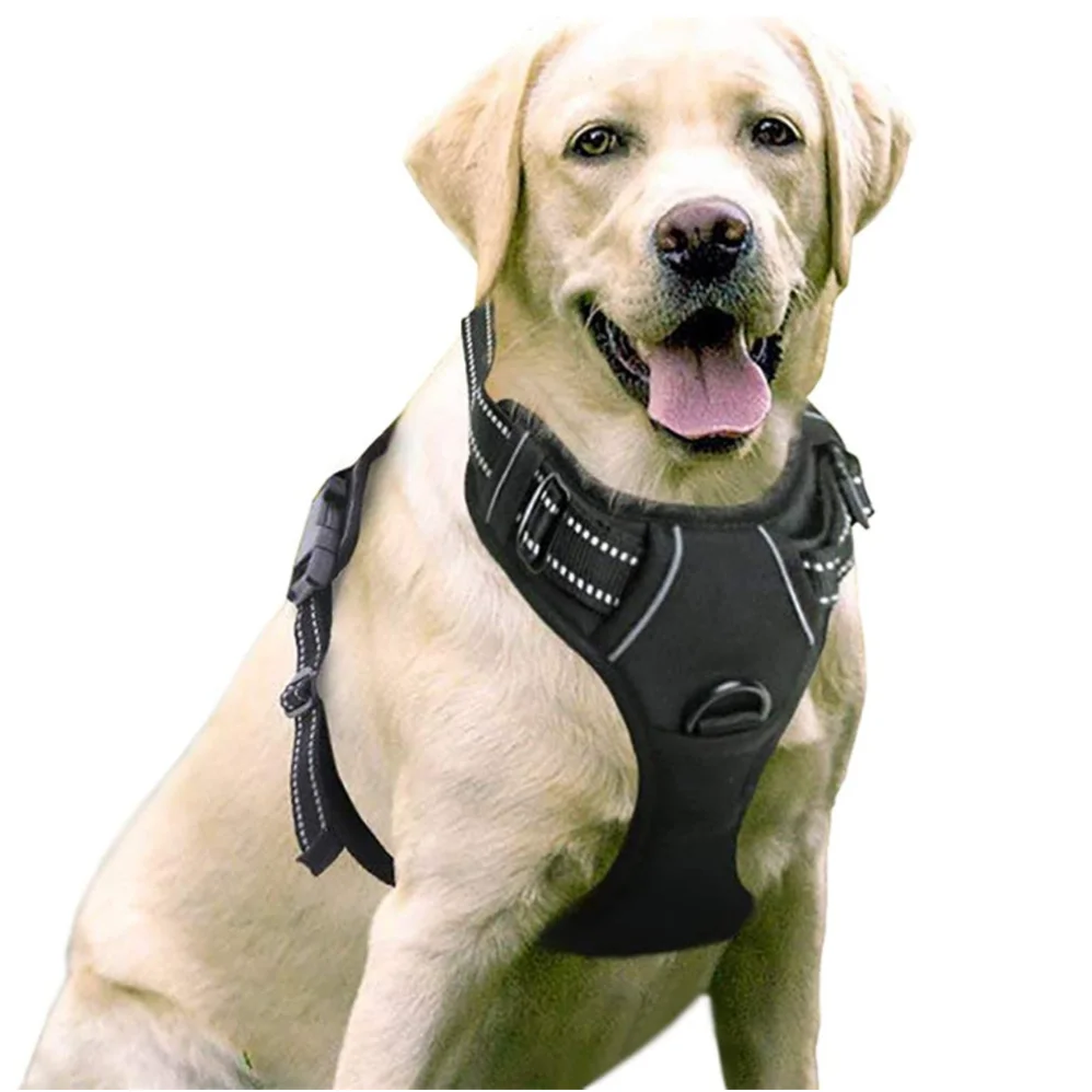 posh dog harnesses