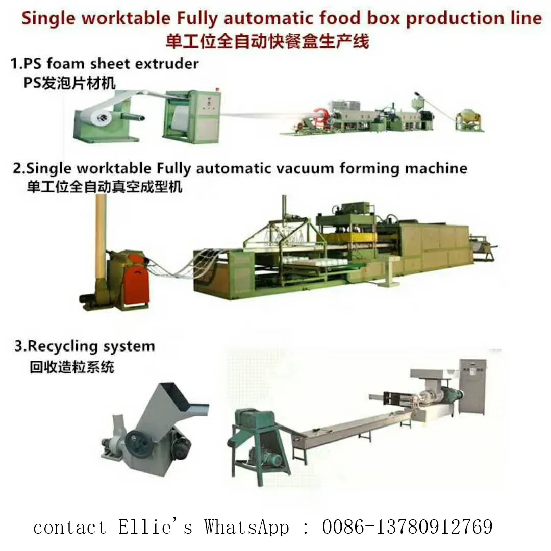 Small Machine Making XPS EPS GPPS PET PP PS Foam Food Lunch Box