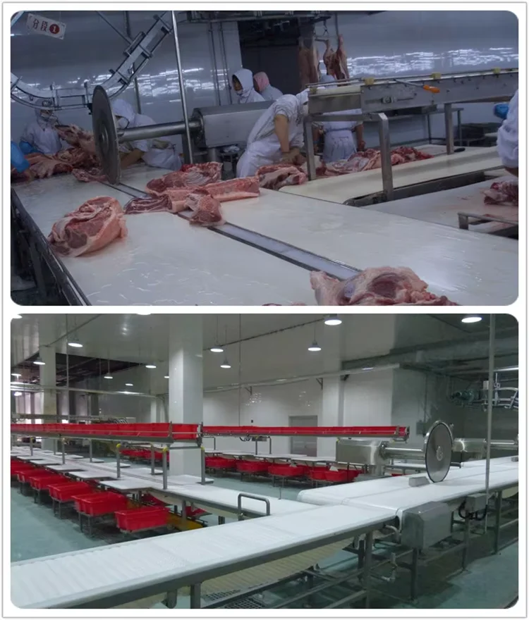 Complete pig slaughterhouse equipment, suitable for pork slaughterhouses and meat processing plants