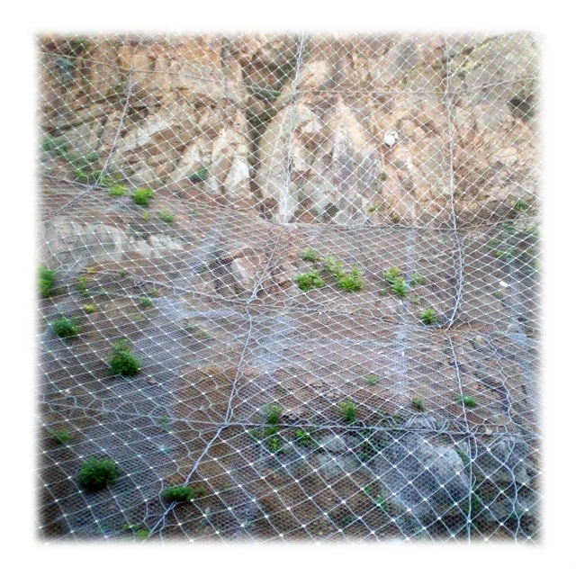 Landslide Prevention and Slope Protective Net Sns Slope Stability Wire Mesh